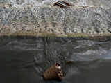 Nepal's holy Bagmati river choked with black sewage, trash