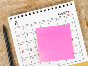 Bank holidays in August 2022: Banks to remain closed for 19 days in August, check the holidays list here