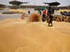 Foodgrain production may be 1.6% higher in 2021-22