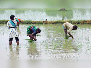 Credit culture destroyed? Only 50% gain from farm loan waivers, says study