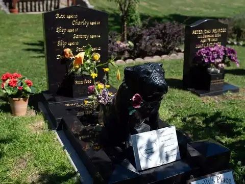 ​Pet cremation