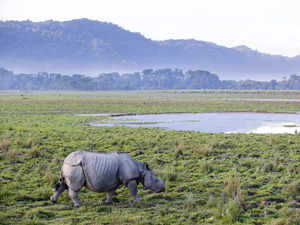 Assam Tourism, IHCL to sign MoU for two hospitality projects