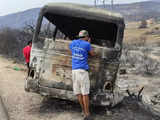 Algeria fires burned Unesco-listed park: expert