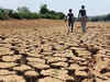 Uttar Pradesh: Rain deficit in 64 districts, farmers a worried lot