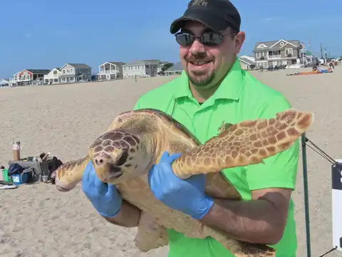 ​'No tougher turtle than him'