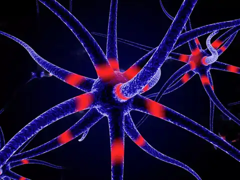 ​​Deterioration of brain cells