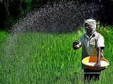 All fertiliser cos told to sell products under 'Bharat' brand