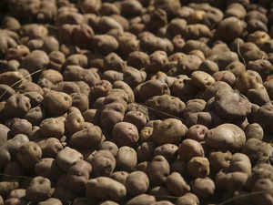 Significant rise in potato production in Assam: Agriculture minister