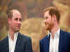 Is all going well between Prince William, Prince Harry? Read details