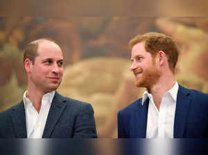 Is all going well between Prince William, Prince Harry?