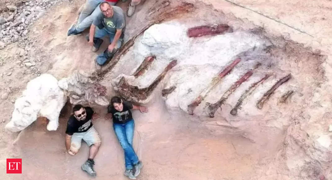Portugal: Homem encontra costelas de dinossauro de 24 metros de comprimento em Portugal