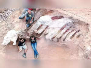 Man finds 82 feet long dinosaur's ribs in Portugal
