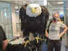 20-year-old bald eagle 'Clark' spotted in human queue at Charlotte airport checkpoint in North Carolina
