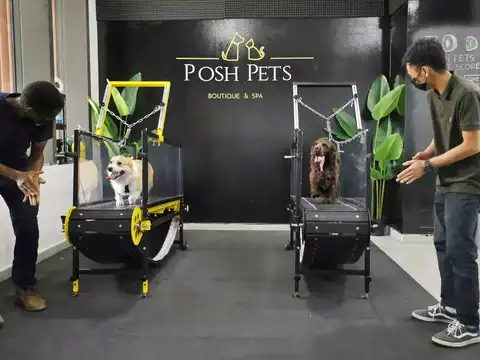 Global warming