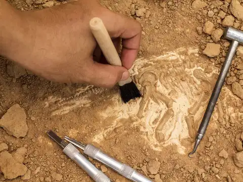 ​First noticed