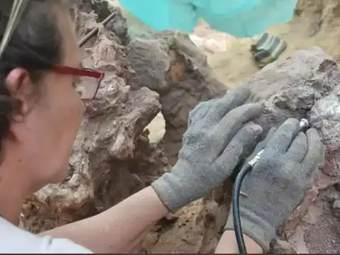 ​Remains of rib
