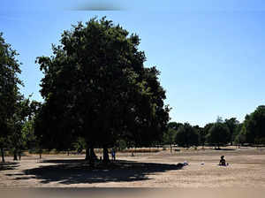 People sunbathe or take shade under a tree on Clapham Common in London