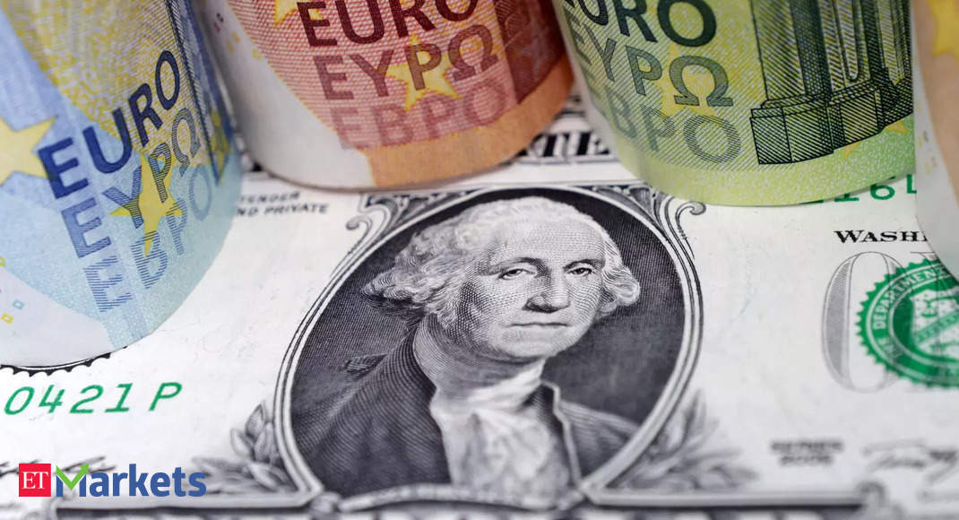 Rate hike bets hoist Euro and bolster US dollar