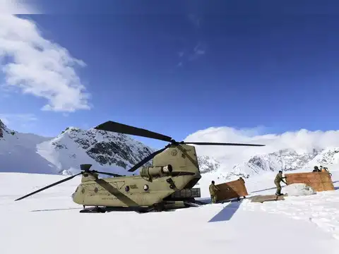 Chinooks