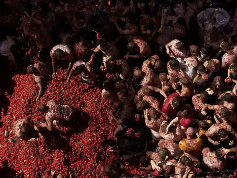 ​130 tonnes of ripe tomatoes