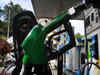 Petrol sales rebound in August, diesel lags
