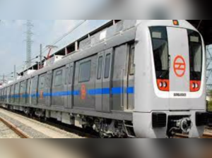 Delhi Metro Blue line-toi-photo