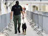 Sniffer dog tipped cops off to cocaine worth £1.2 million at Italy's Milan airport. Here's how