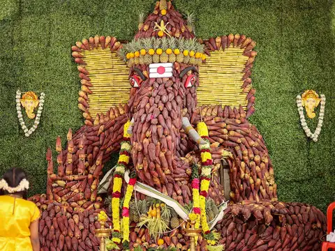 Banana flowers