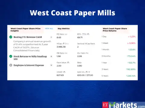 West Coast Paper Mills | Price Return in 2022: 160%