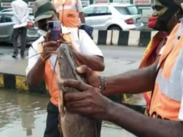 Man holding a fish