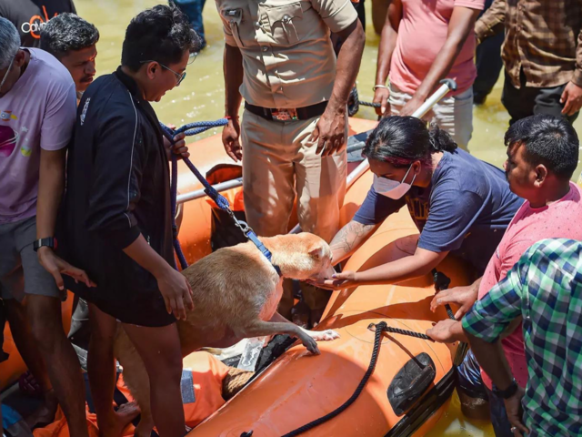 Residents sit in a boat with a pet