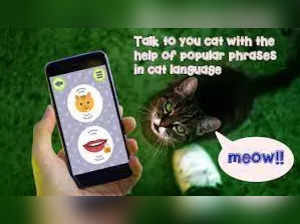 Smartphone App that helps you know what your cat is saying