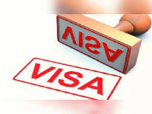 Working to speed up issuance of visa: German ambassador