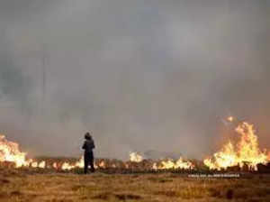 Centre rejects Punjab's '2,500/acre cash sops to stop stubble burning