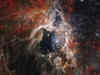 Another NASA stunner from the Universe! James Webb Space Telescope captures newborn stars 'Tarantula Nebula'
