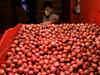 Govt to offload about 50,000 tonnes of onions from buffer stock