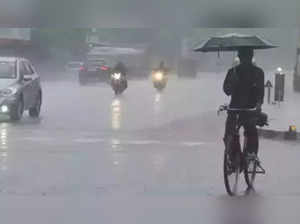Heavy rain in parts of Maharashtra for next 3 to 4 hrs: IMD forecasts