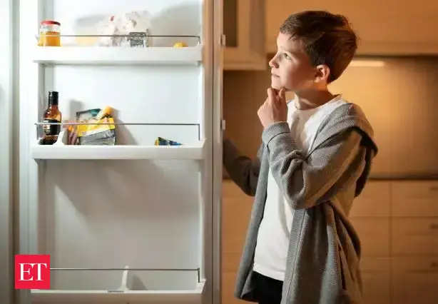 lg fridge 500 litres