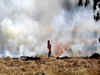 Delhi govt begins preparations for spraying bio-decomposer in farms to prevent stubble burning