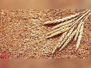 Kharif rice output may fall by 6-7 MT