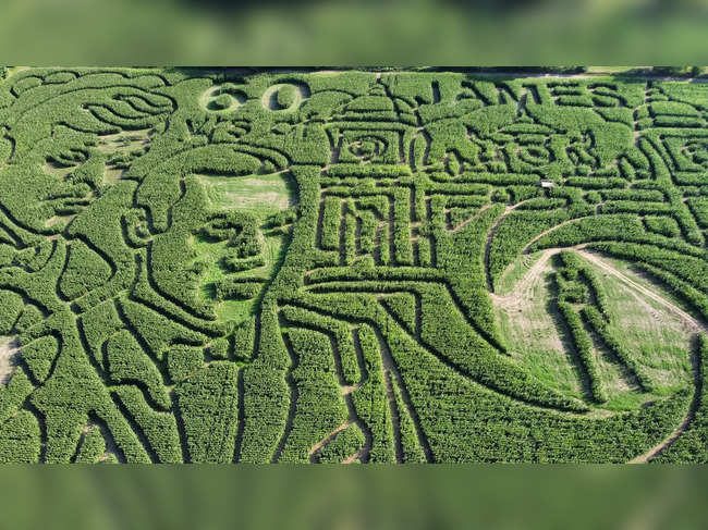 'World's largest corn maze' celebrates 60 years of James Bond