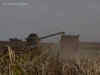 Russia-Ukraine War: Ukrainian farmers seek harvest amid war presence