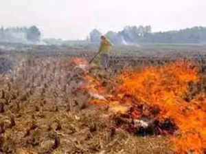 Stubble burning: 56,000 machines to be distributed, massive awareness prog, says minister