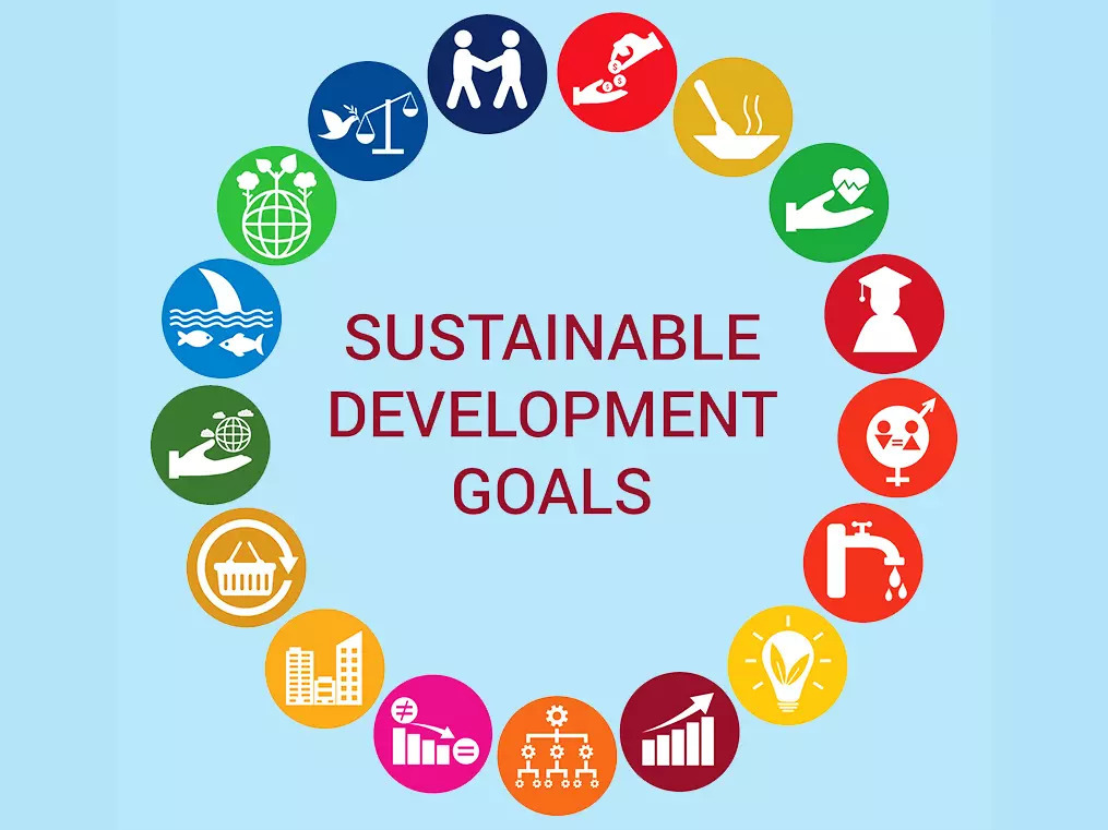 Can impact investing address India’s SDG financing gap?