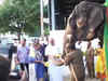 Watch: RIL chairman Mukesh Ambani visits Tirupati Balaji Temple; feeds temple elephants