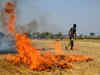 Awareness, machines, engaging students, religious places: Punjab plans its stubble-burning fight