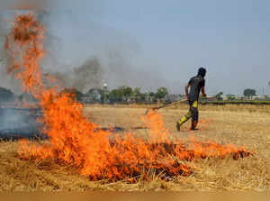 Amritsar: A farmer burns stubble in a field following the harvest season, on the...