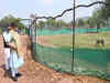 PM Modi releases cheetahs into special enclosures in Madhya Pradesh