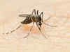 Dengue: Delhi witnesses spike of 101 new cases in just one week