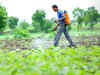 Agrochemical firm Dhanuka Group seeks action against ghost companies selling spurious pesticides
